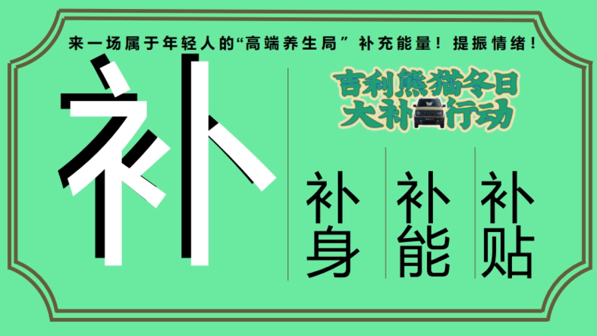 吉利熊猫传播项目_第8页