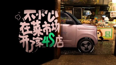 吉利熊猫传播项目