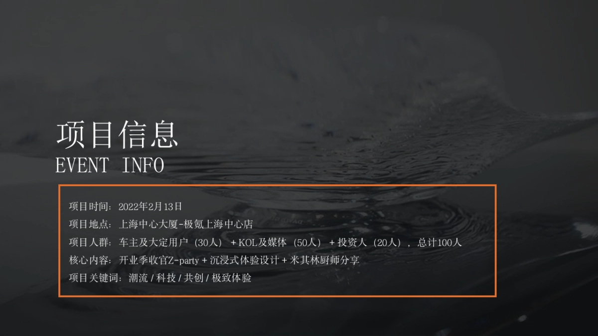 极氪上海中心店开业收官活动及异业合作策划方案_第4页