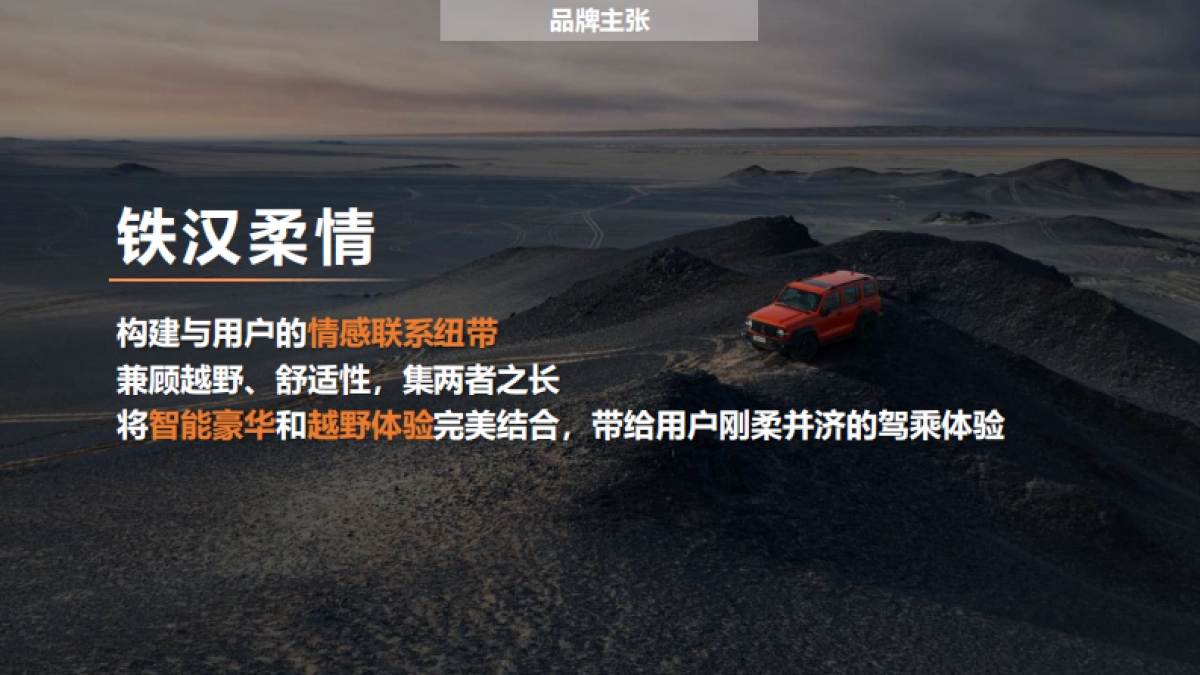 品牌手册丨汽车品牌 坦克汽车品牌手册_第8页