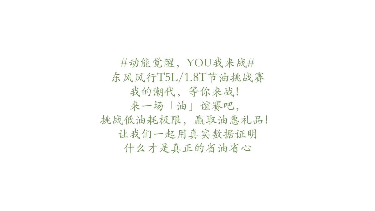 汽车品牌节油挑战赛（畅享自由主题）活动策划方案_第7页