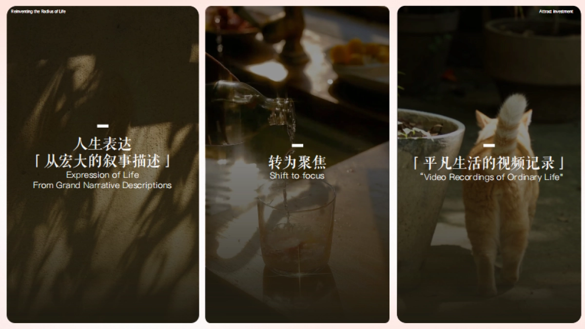 行业IP-重塑人生半径_第2页