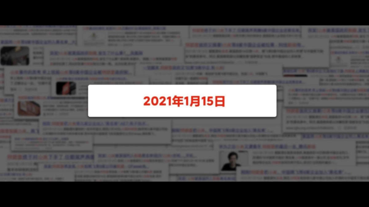 行业分享丨雷军2024演讲_第2页