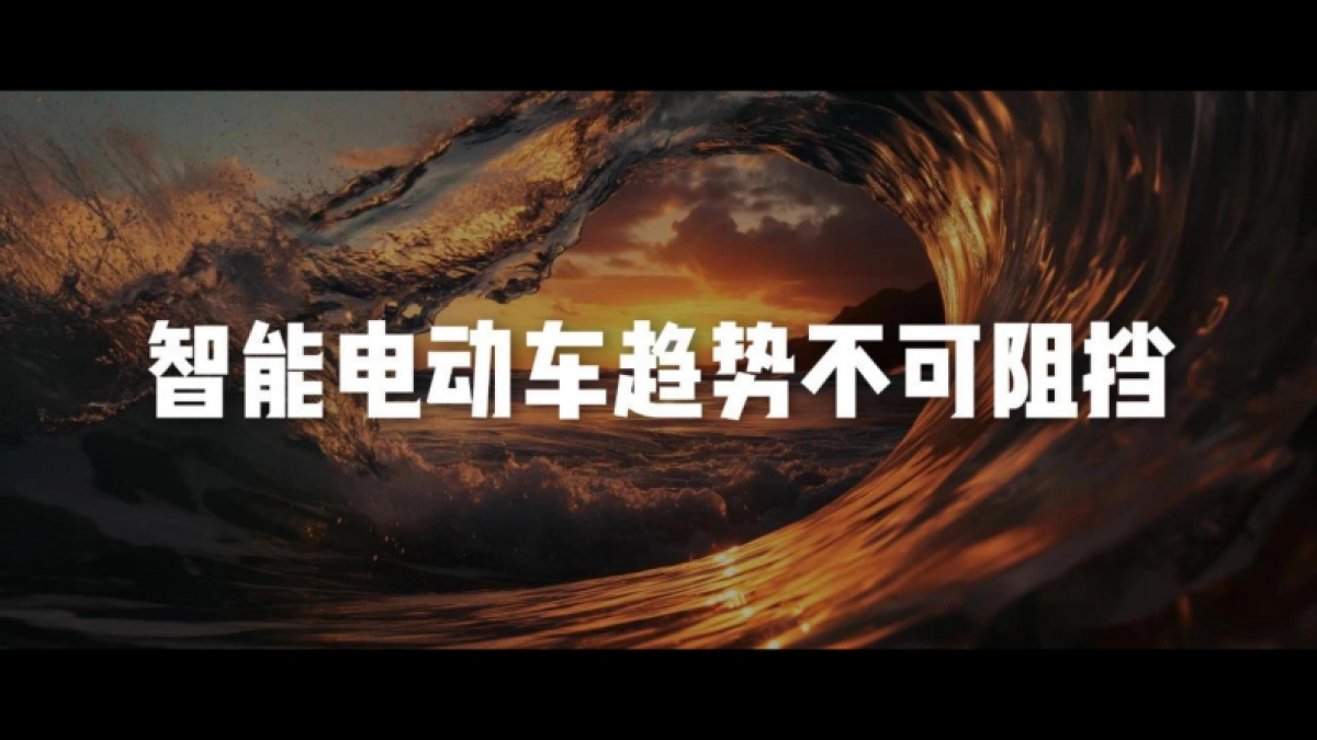 行业分享丨雷军2024演讲_第5页