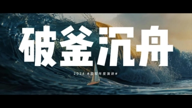 行业分享丨雷军2024演讲