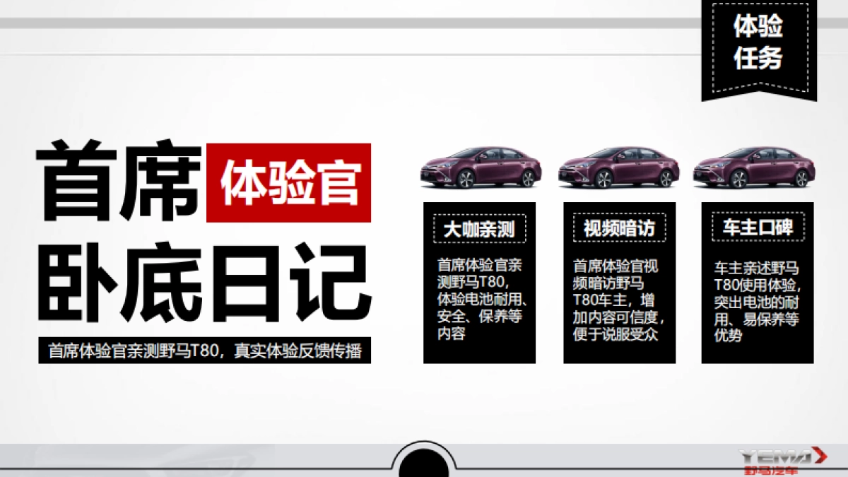 野马T80年度传播推广方案_第10页