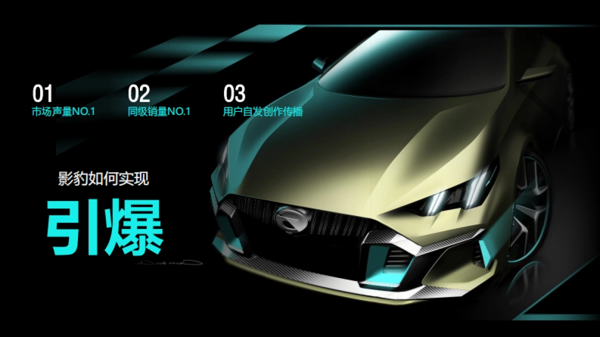 影豹案例_第4页