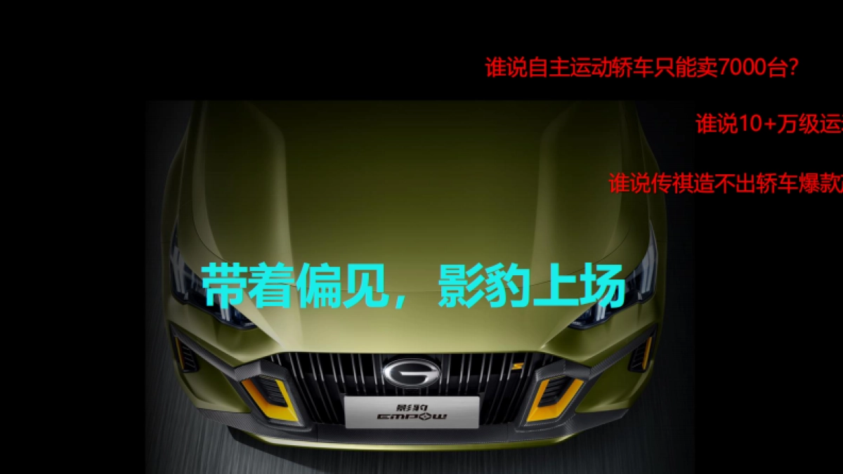 影豹案例_第5页