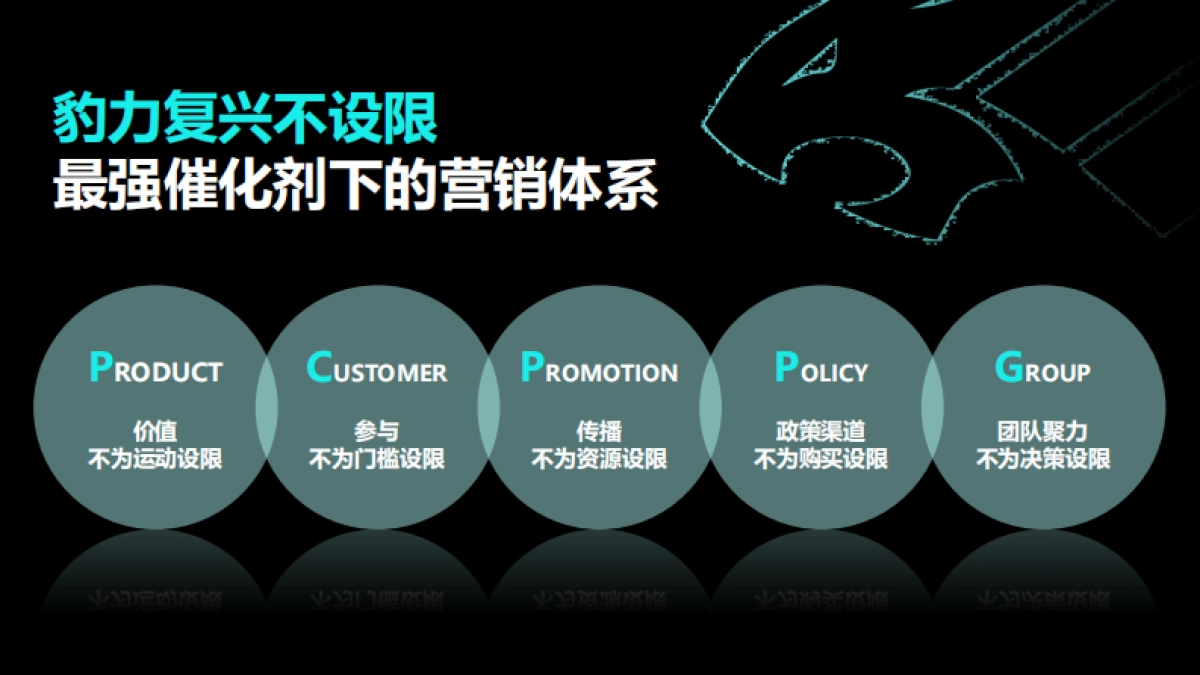 影豹案例_第7页