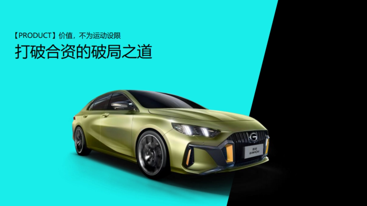 影豹案例_第8页