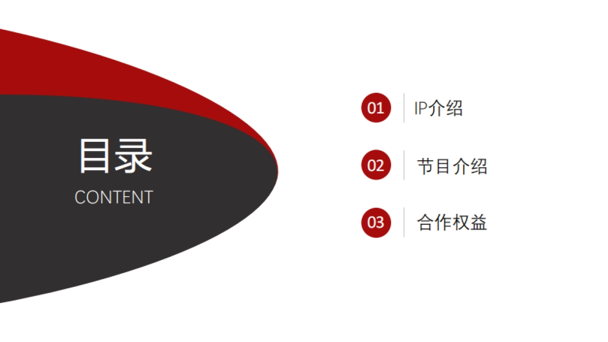 2025-大国好车-央视网《大国好车》资源介绍_第2页