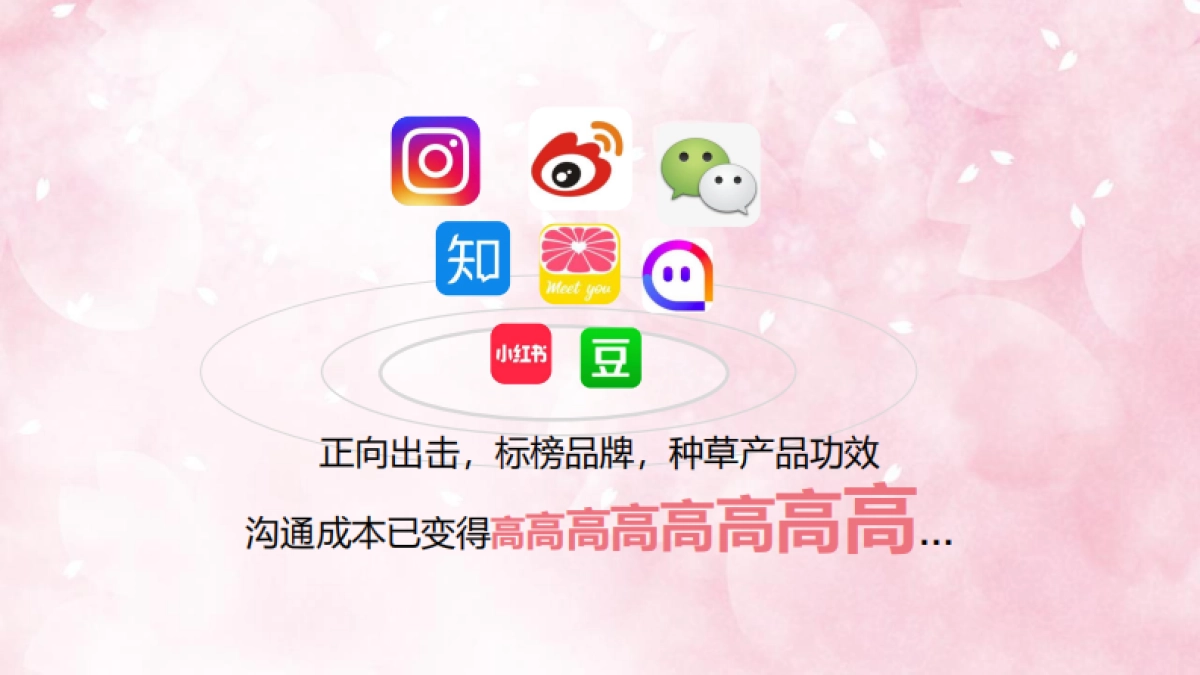 蔻斯汀新品洗发水传播创意方案-56页_第7页