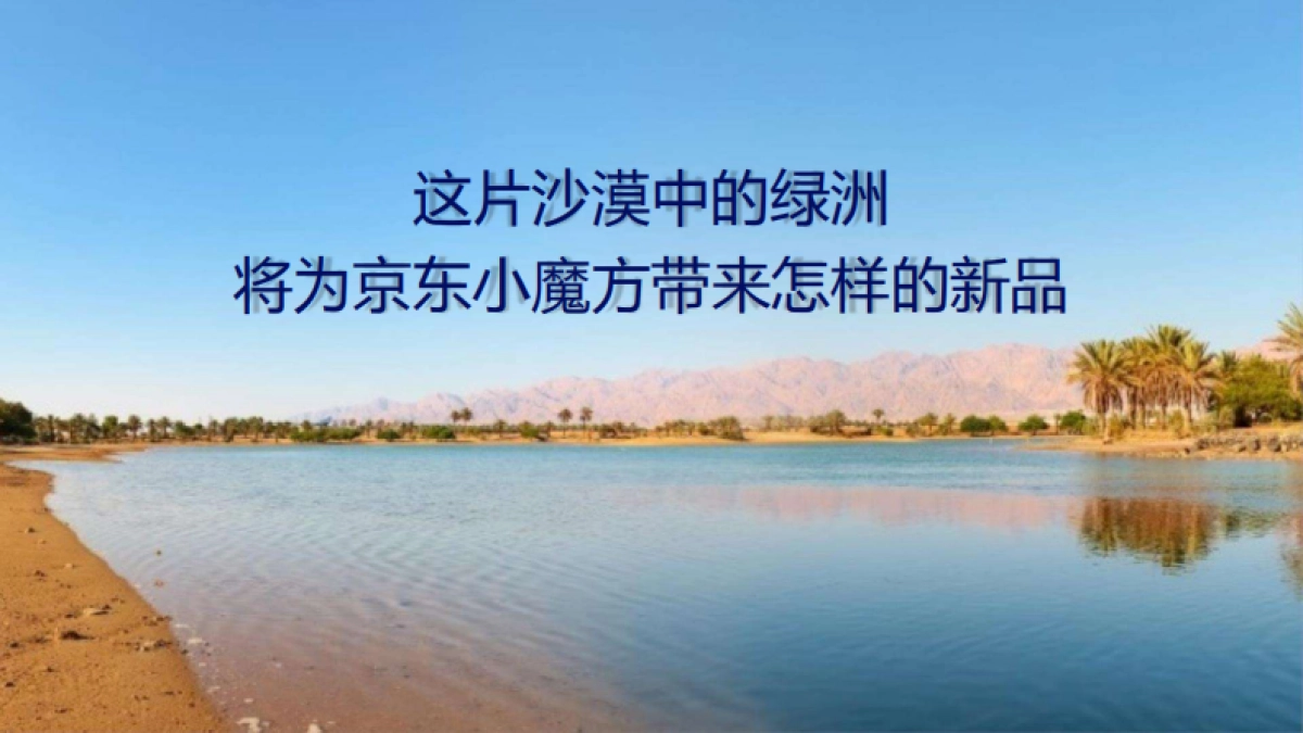 2021特仑苏 X 京东小魔方沙漠有机奶上市方案_第2页