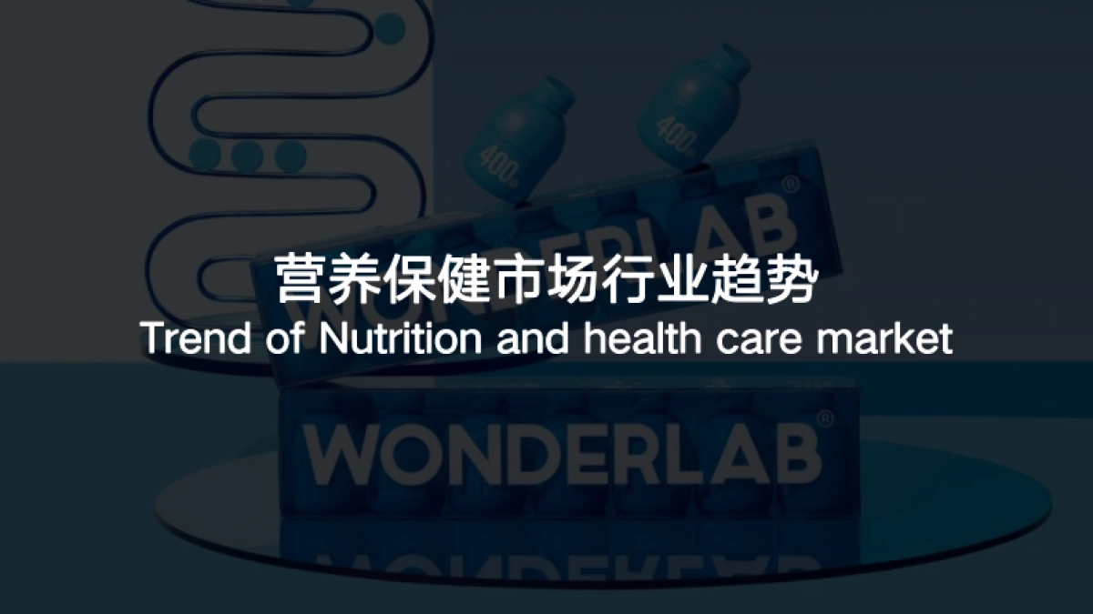 wonderlab品牌分析报告-伟大航路_第10页