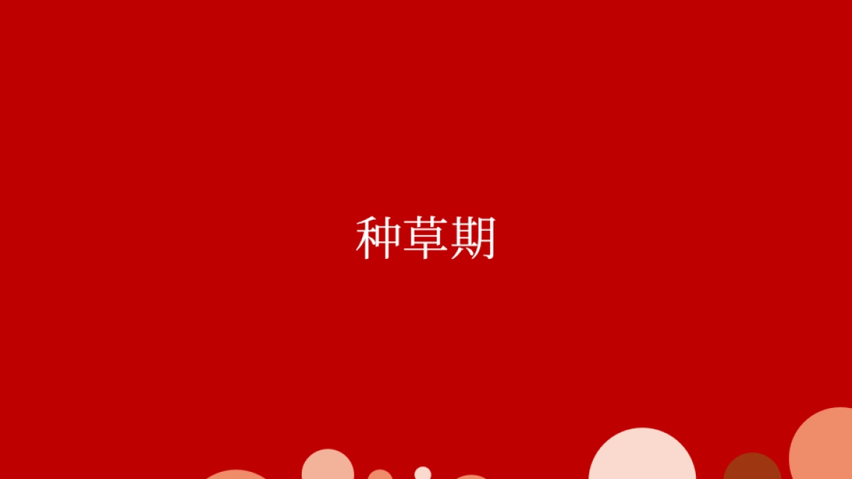 白可乐上市社交推广传播方案_第10页