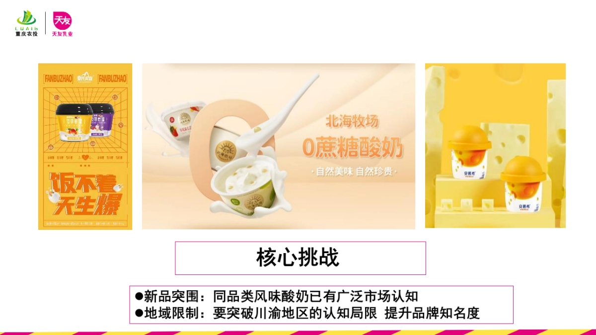 爆珠酸奶品牌新品上市公关传播方案_第4页