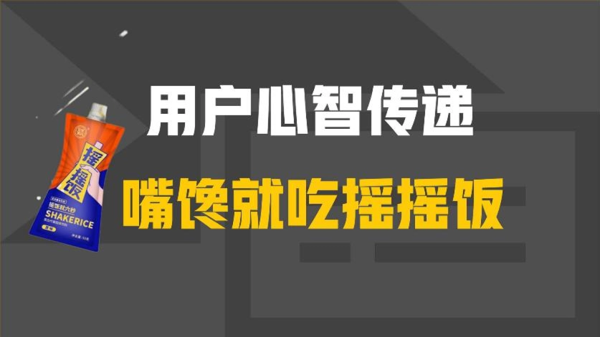 蛋白代餐固体饮料摇摇饭新品营销策划方案_第3页