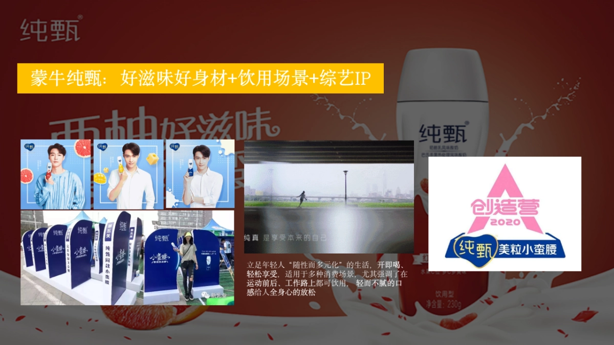鲜酸奶品牌全新上市新品策略方案_第10页
