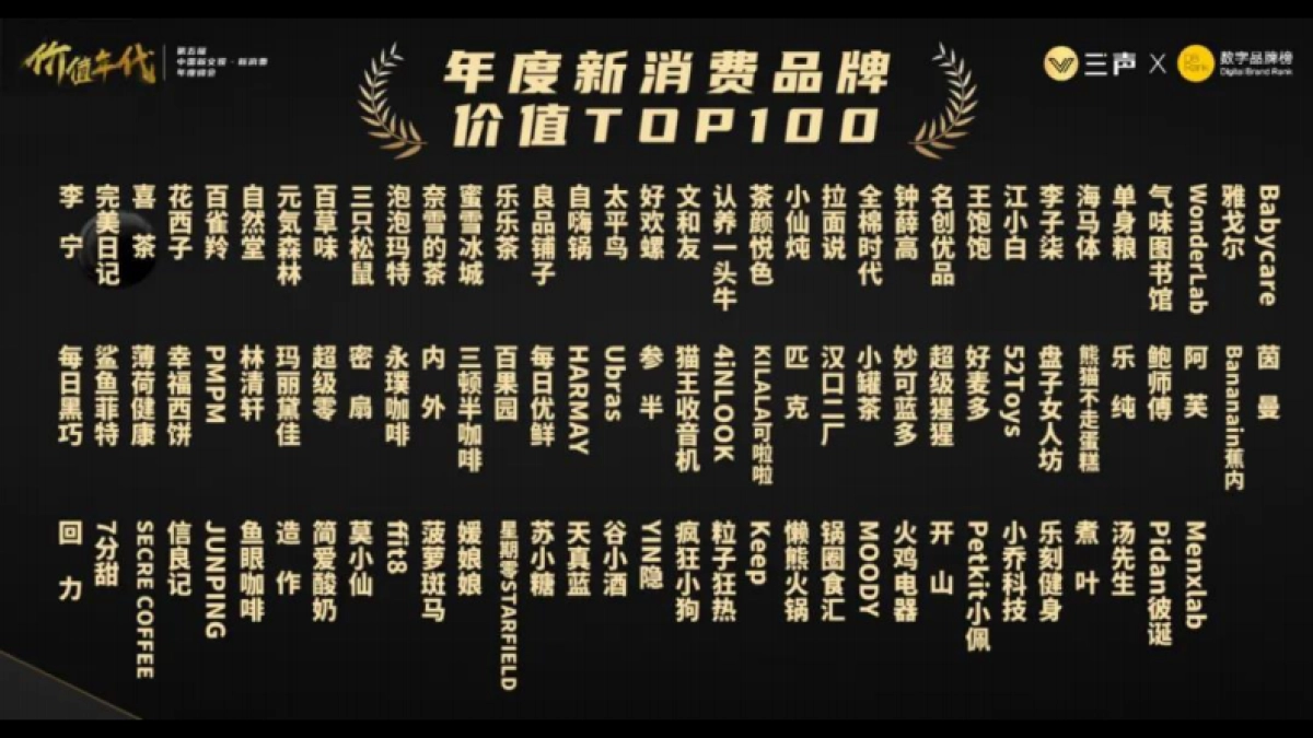 新品牌崛起的背后逻辑_第2页