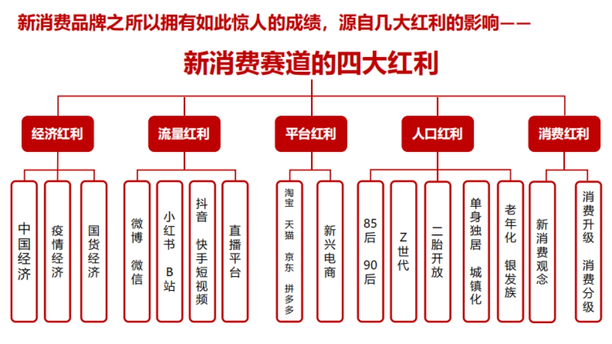 新品牌崛起的背后逻辑_第5页