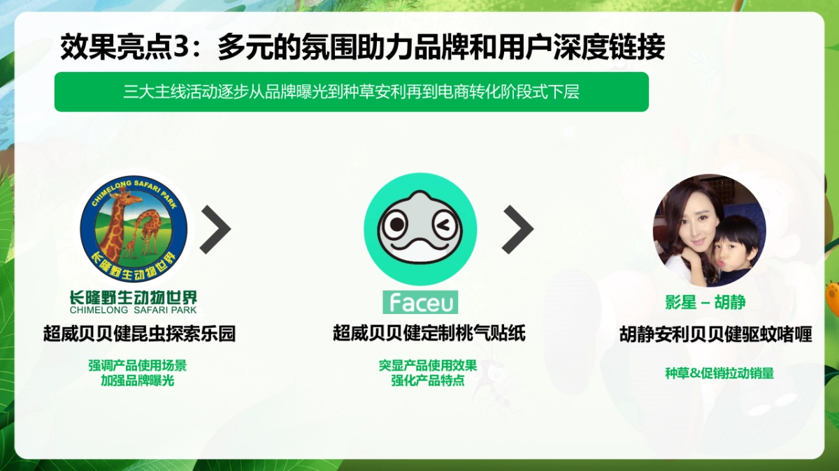 立白超威贝贝健新品传播整合营销类策划方案-61页_第10页