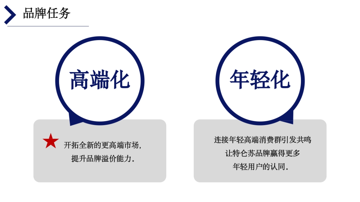 蒙牛特仑苏鲜语纯牛奶新品牌上市整合营销传播方案_第4页