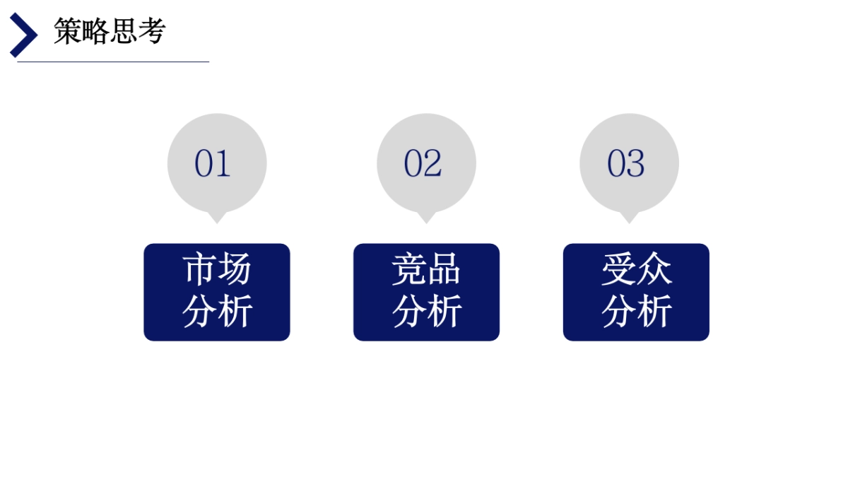 蒙牛特仑苏鲜语纯牛奶新品牌上市整合营销传播方案_第6页