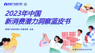 前瞻产业研究院&大国消费：2023年中国新消费潜力洞察蓝皮书