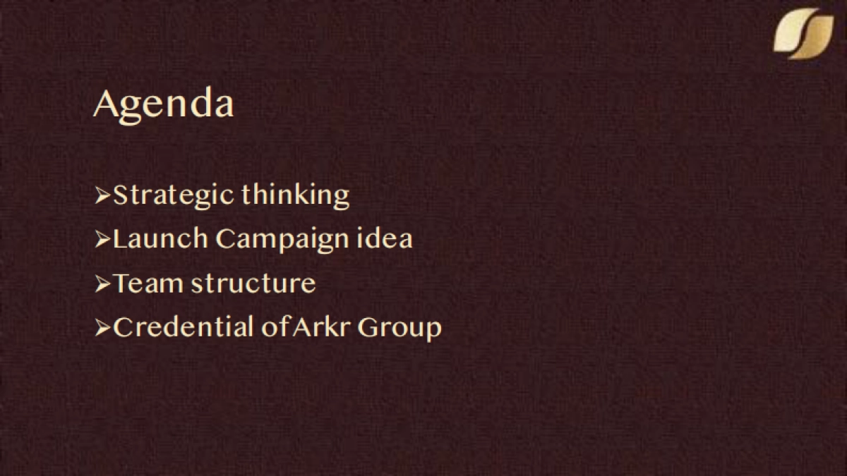 雀巢金牌手冲大师 方案提报_第2页