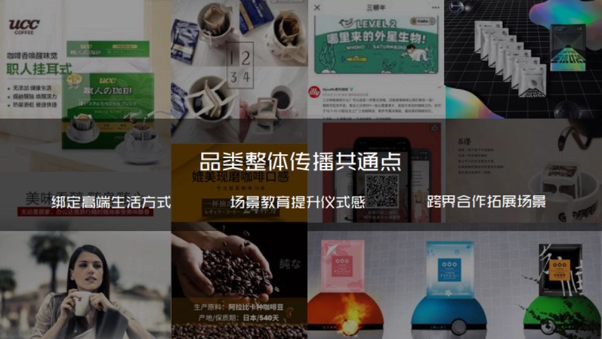 雀巢金牌手冲大师 方案提报_第6页