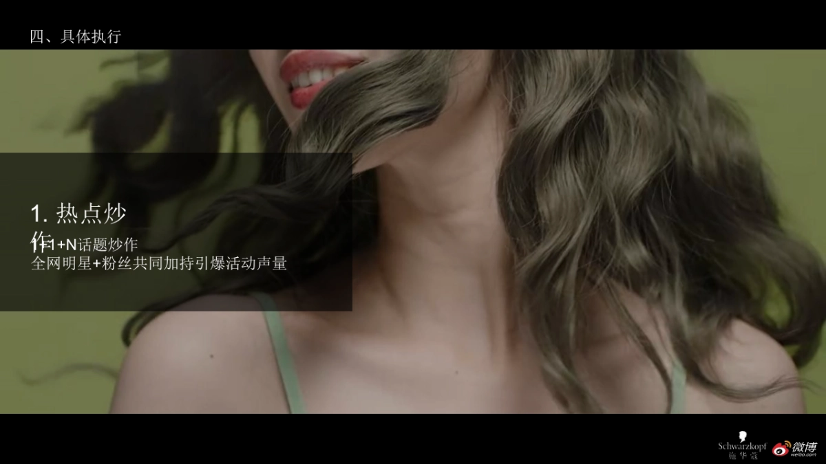 施华蔻L9专彩漂浅霜新品上市微博营销结案_第10页