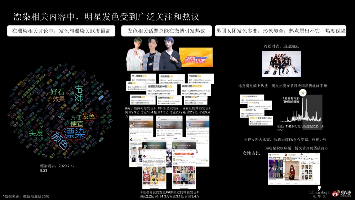 施华蔻L9专彩漂浅霜新品上市微博营销结案_第6页