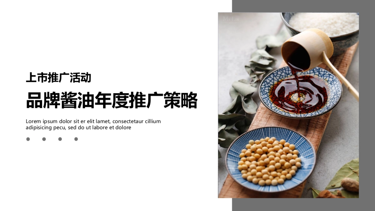 食品品牌酱油新品上市会策略案_第1页