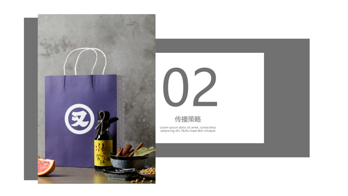 食品品牌酱油新品上市会策略案_第5页