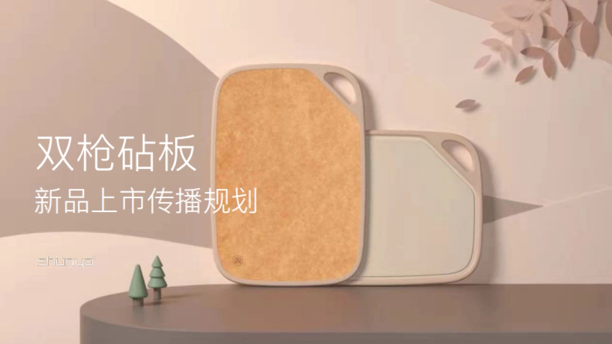 双枪砧板新品上市传播规划案_第1页