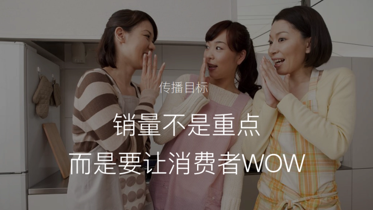 双枪砧板新品上市传播规划案_第5页