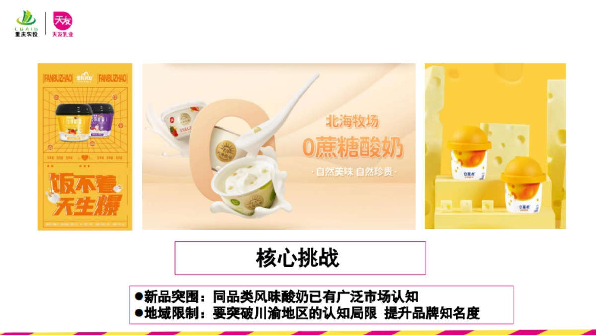 天友酸奶新品上市公关传播方案_第4页