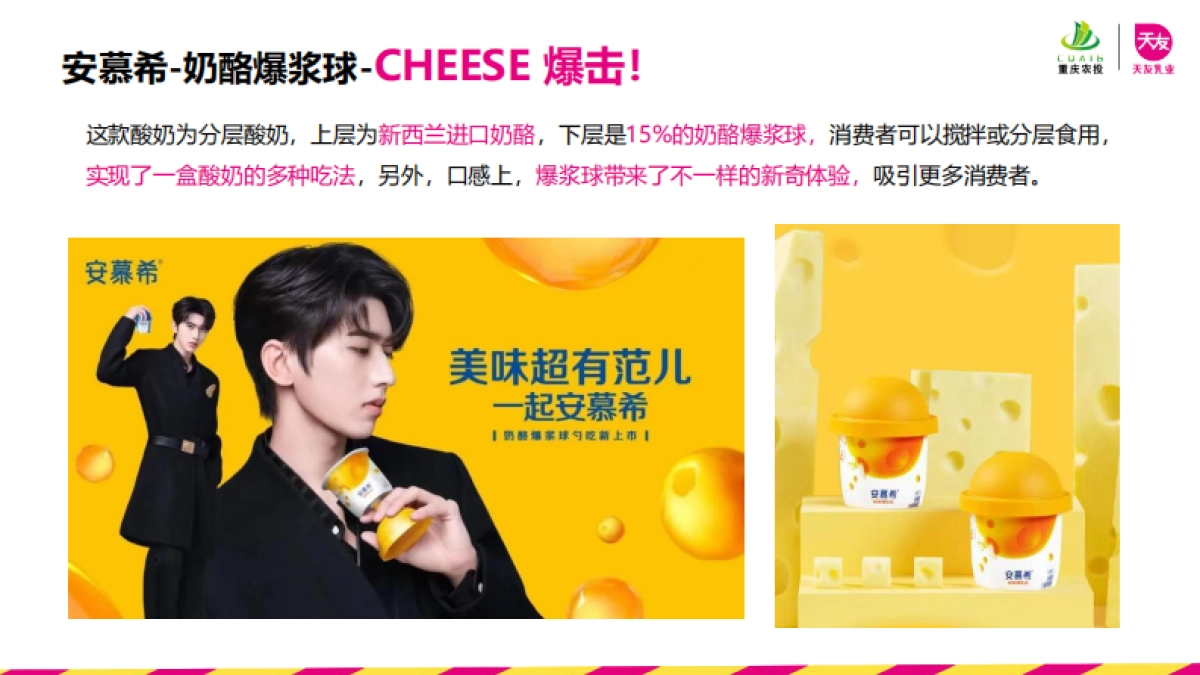 天友酸奶新品上市公关传播方案_第8页