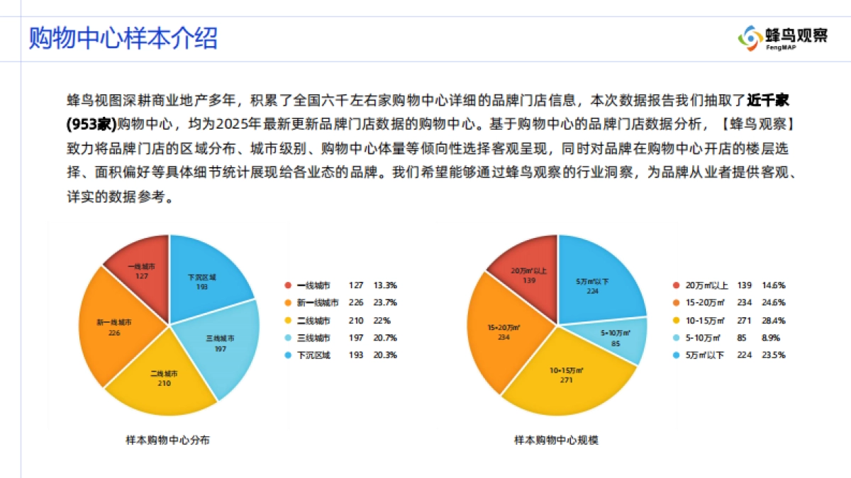 2025年购物中心门店分布观察报告-国产运动品牌系列-蜂鸟观察_第2页