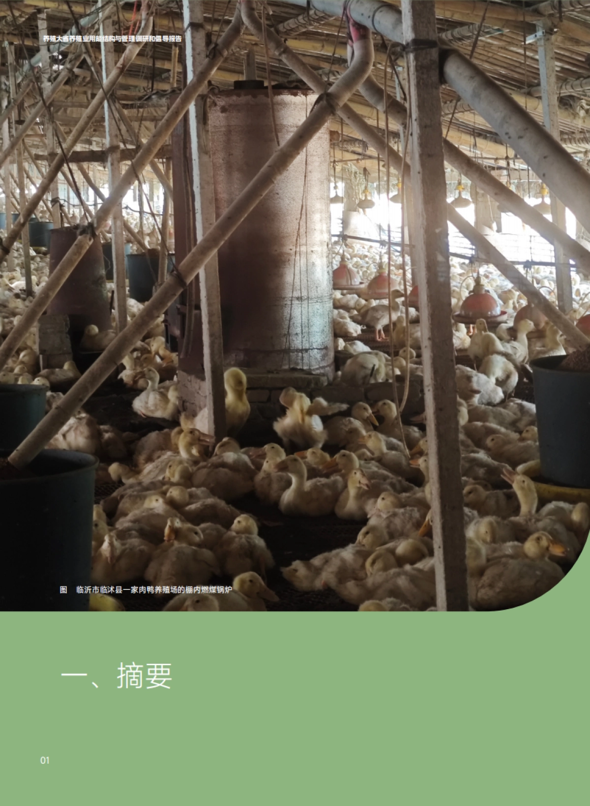 2025养殖大省养殖业用能结构与管理调研和倡导报告-SEE基金会&自然田_第4页