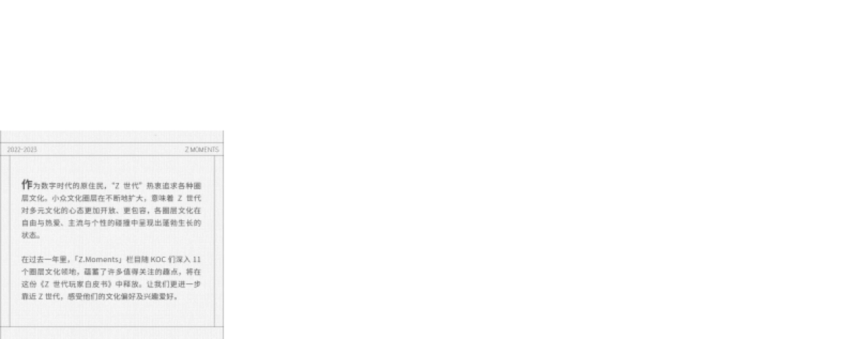 巨量-解密Z时代圈层文化_第3页