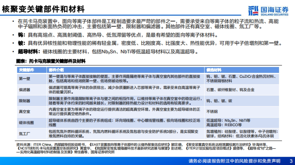 新材料产业深度报告：新材料产业框架之五，核聚变临界点已至，关键部件与材料迎战略机遇-国海证券_第3页