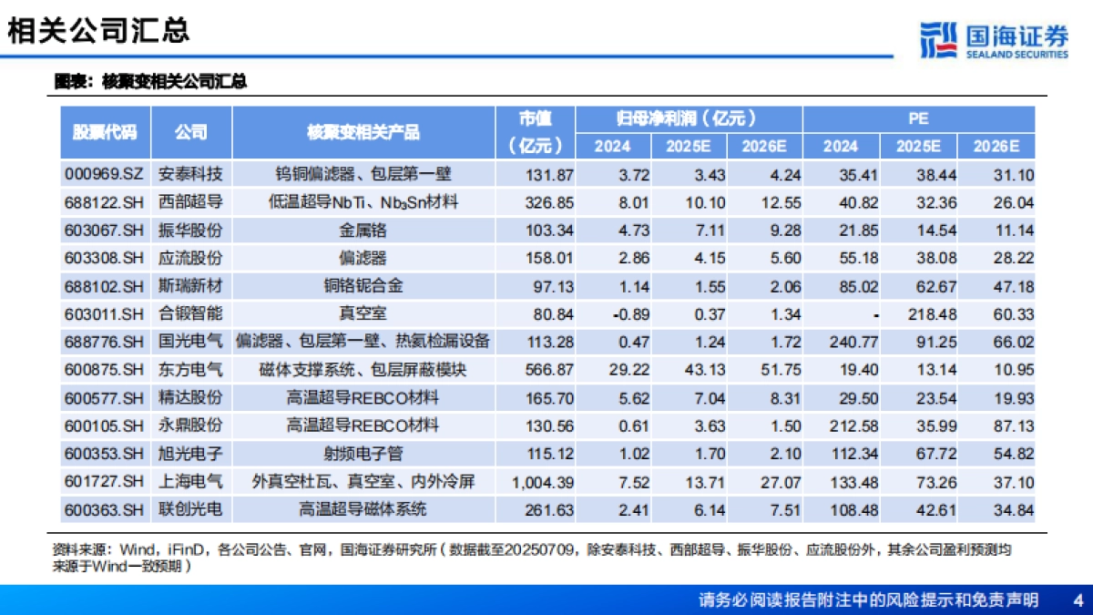新材料产业深度报告：新材料产业框架之五，核聚变临界点已至，关键部件与材料迎战略机遇-国海证券_第4页