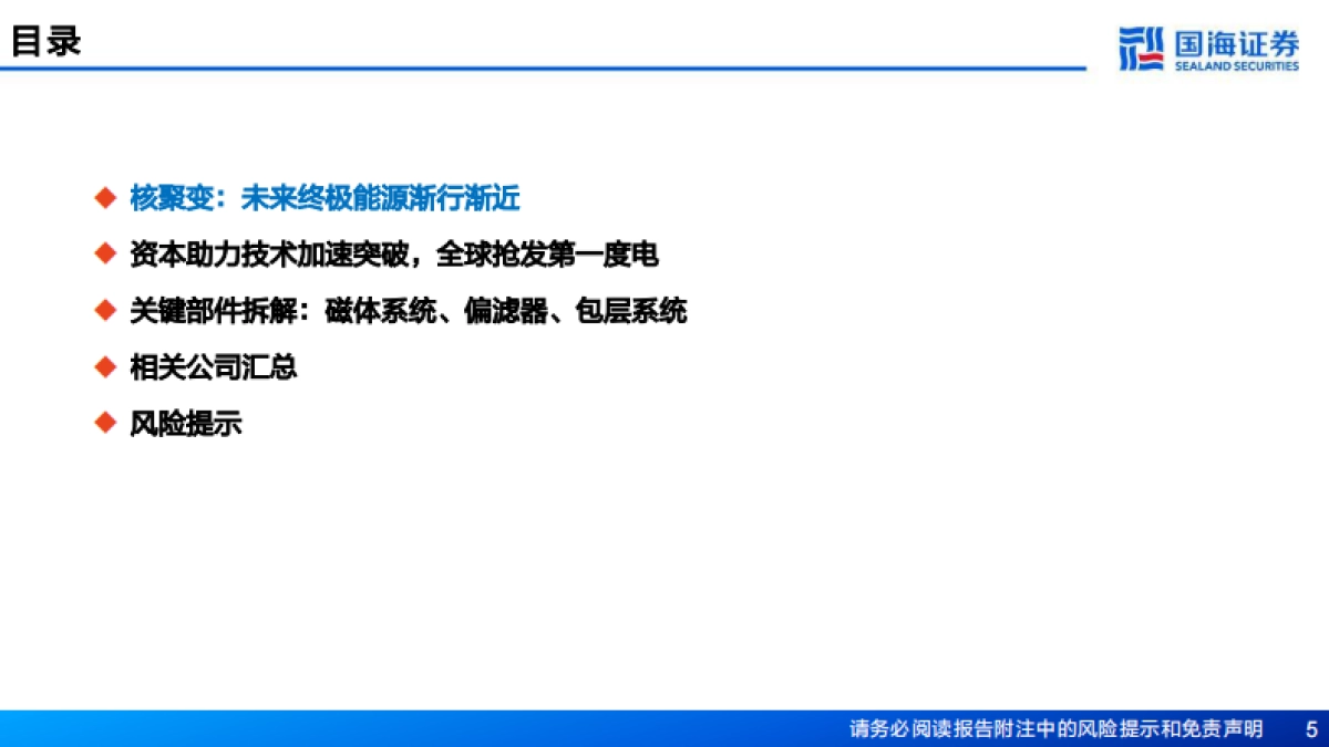 新材料产业深度报告：新材料产业框架之五，核聚变临界点已至，关键部件与材料迎战略机遇-国海证券_第5页