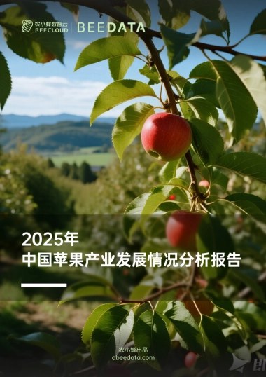 2025年中国苹果产业发展情况分析报告-农小蜂