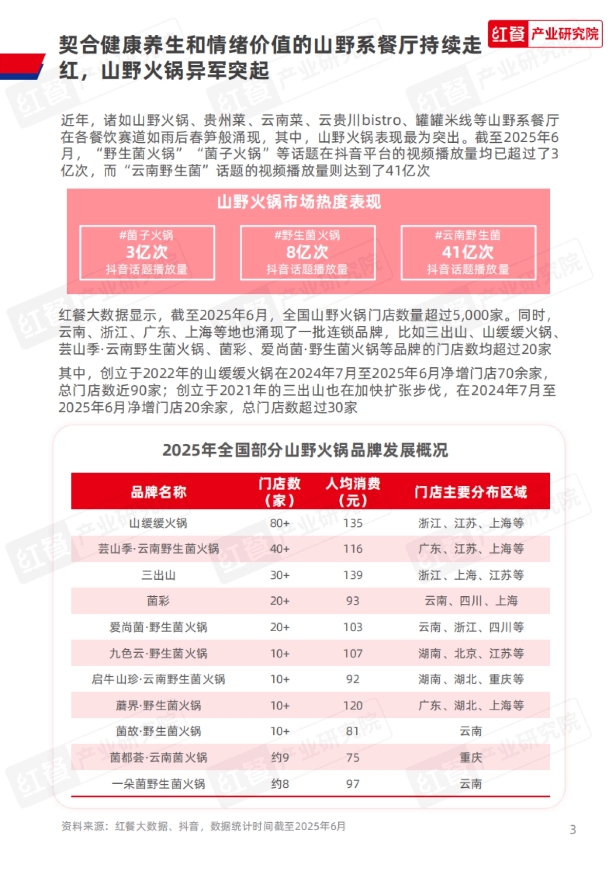 2025年餐饮供应链研究报告——山野火锅菌汤锅底解决方案-红餐产业研究院_第3页