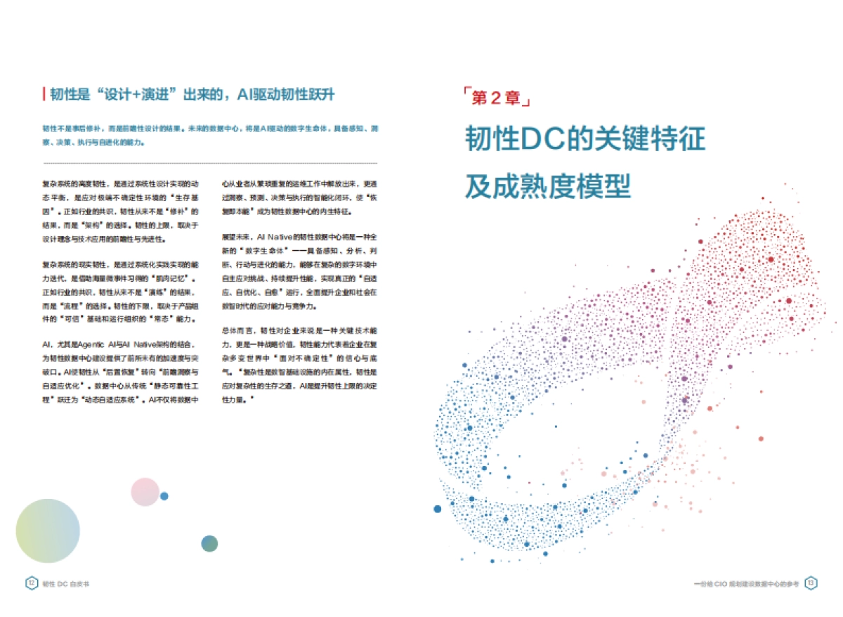 2025年韧性DC白皮书-华为_第8页