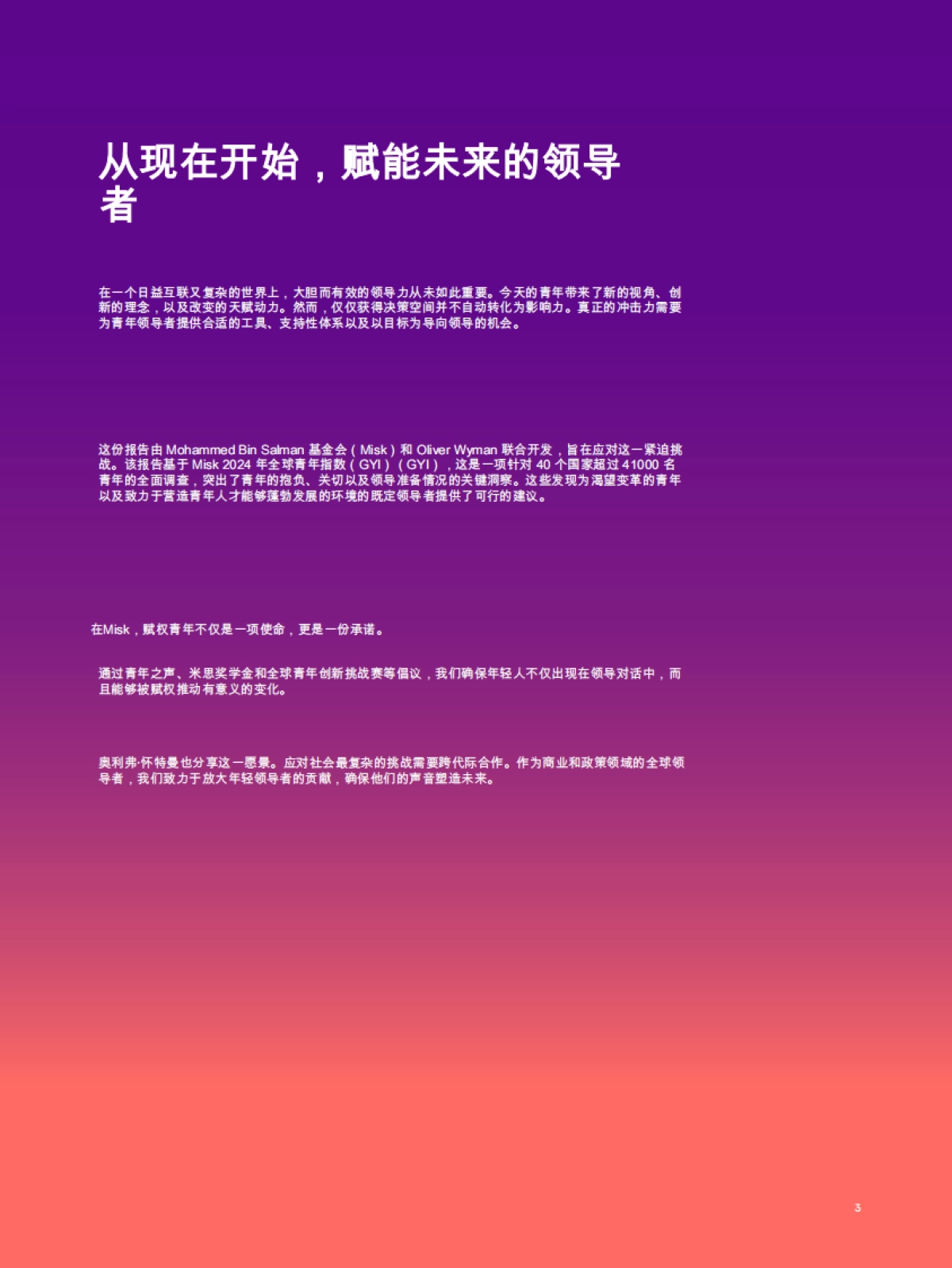 为成功而装备：青年领导者决策角色的工具与策略_第3页