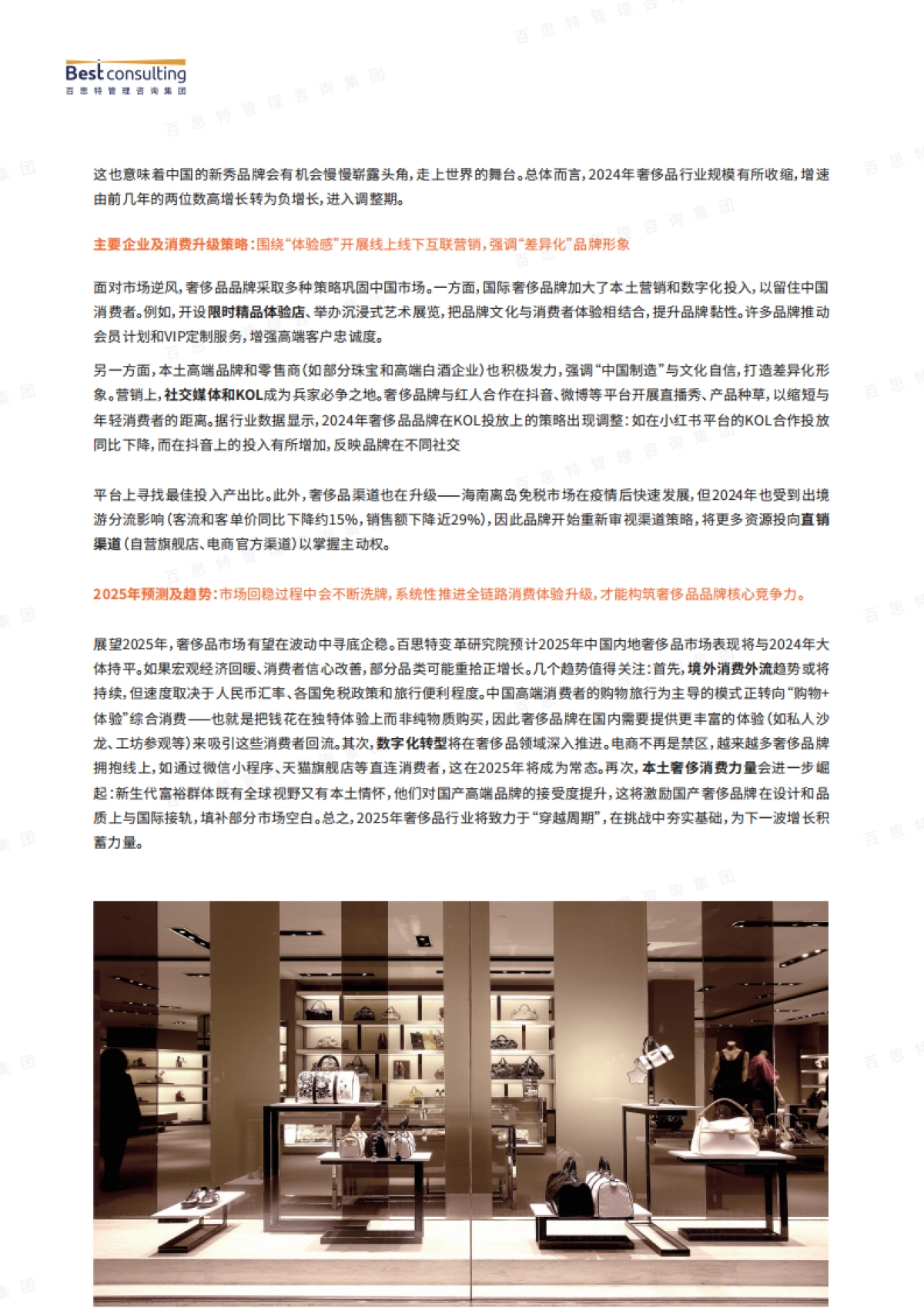 消费升级依然是主旋律——以食品饮料、奢侈品、消费电子行业为例的消费升级破局启示-百思特_第5页