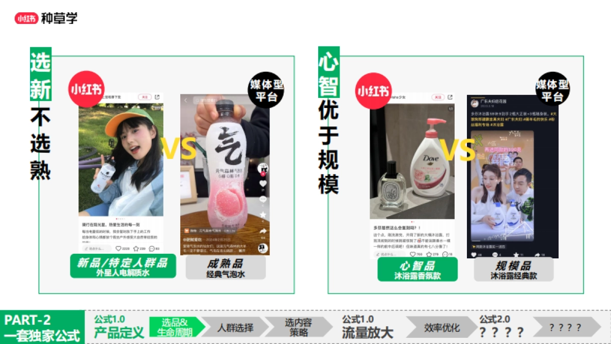 小红书高效种草公式_第5页